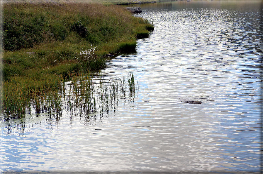 foto Lago di Montalon